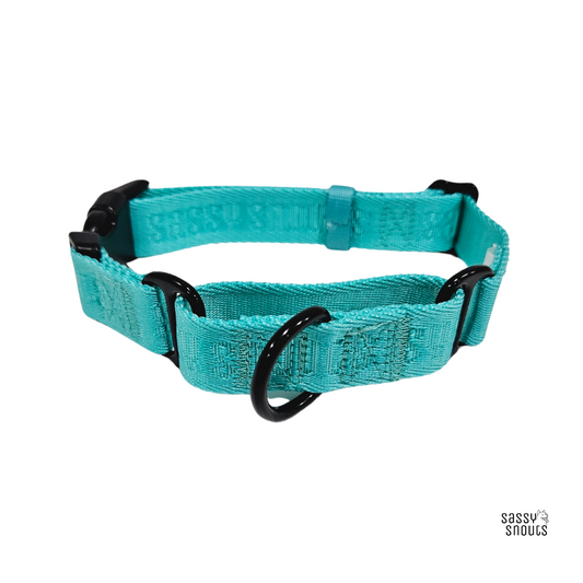 Sassy Snouts Signature Martingale Collar in Turquoise (Gen 2.0)