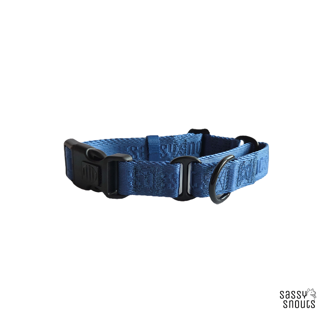 Sassy Snouts Signature Martingale Collar in Twilight Blue