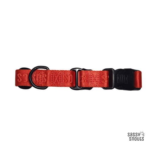 Sassy Snouts Signature Martingale Collar in Vermilion (Gen 2.0)