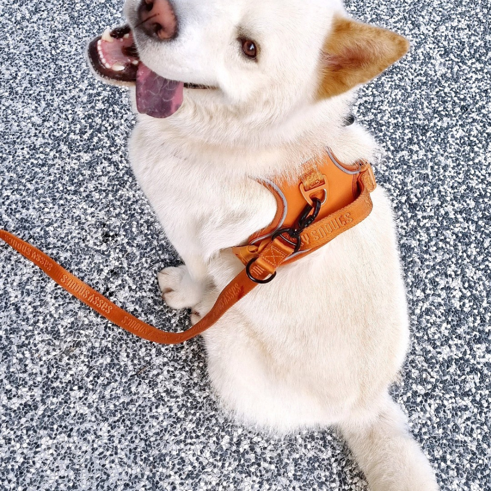 Sassy Snouts Signature Multi-way Leash in Caramel (Gen 2.0)
