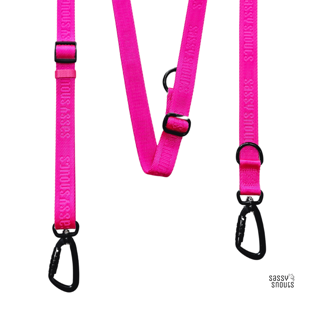 Sassy Snouts Signature Multi-way Leash in Flamingo (Gen 2.0)