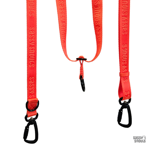 Sassy Snouts Signature Multi-way Leash in Vermilion (Gen 2.0)