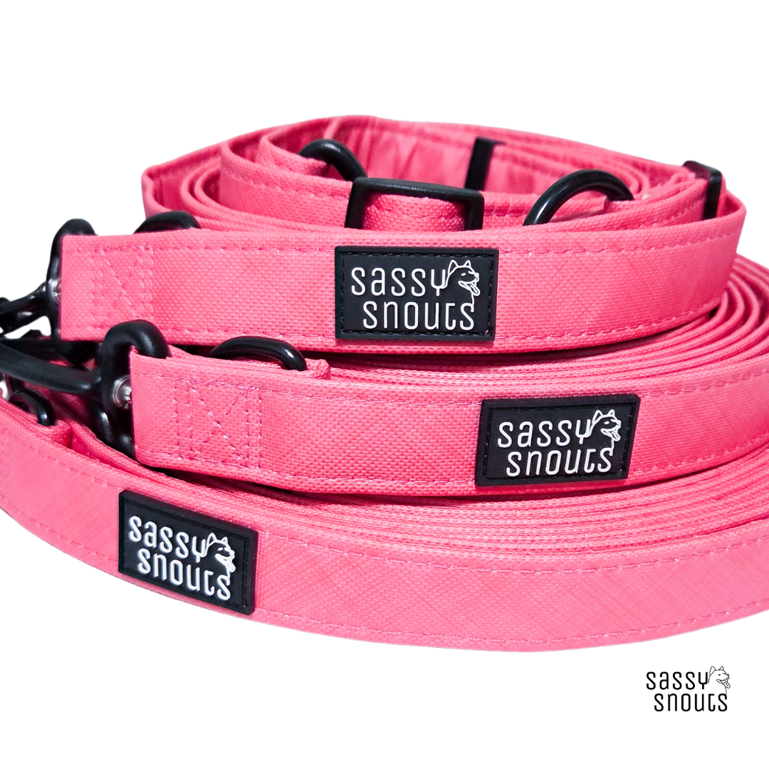 Sassy Snouts Splash Multi-way Leash in Coral (Gen 2.0)
