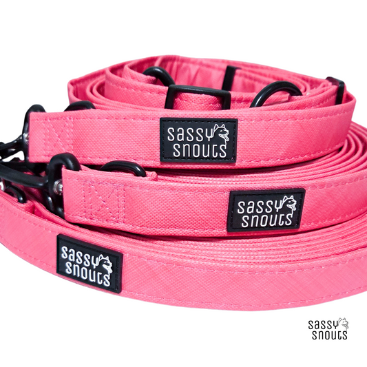 Sassy Snouts Splash Multi-way Leash in Coral (Gen 2.0)