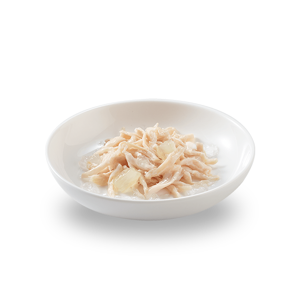 Schesir Chicken Fillets with Aloe In Jelly Kitten 140g