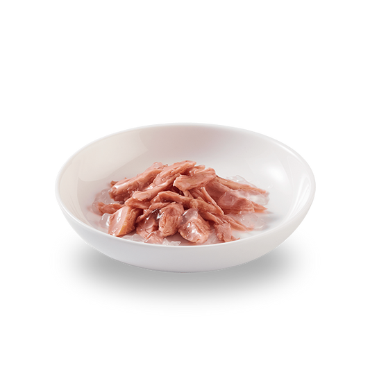 Schesir Tuna In Jelly 140g