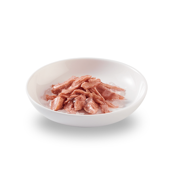 Schesir Tuna In Jelly 140g