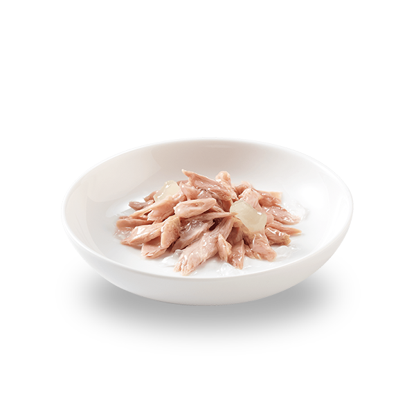 Schesir Tuna With Aloe In Jelly Kitten 140g