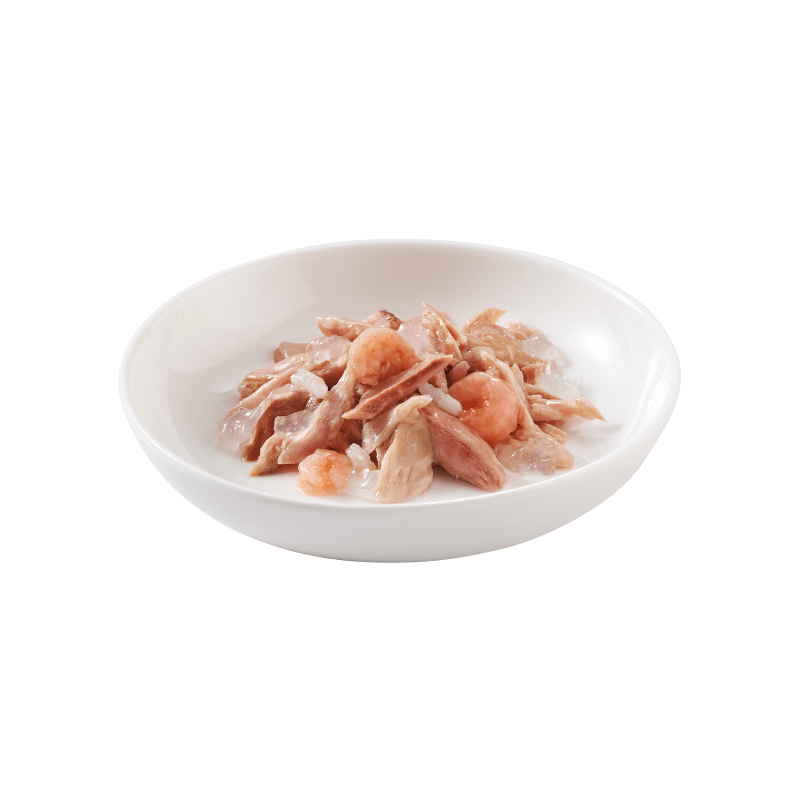 Schesir Tuna with Shrimp in jelly Multipack 50g x 6