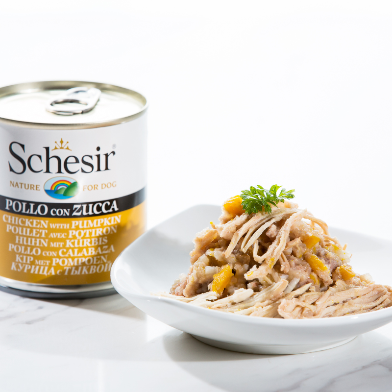 Schesir Wet Dog Food (Chicken with Pumpkin) For Dogs - 285g