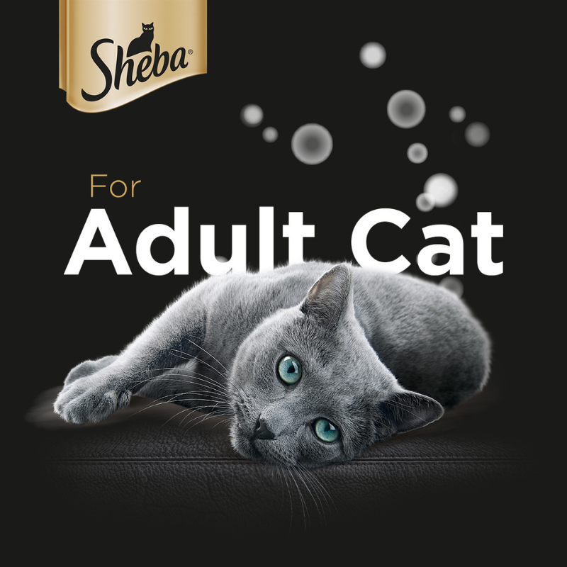Sheba Tuna & Crab Stick Pouch Cat Food - 12 x 70g
