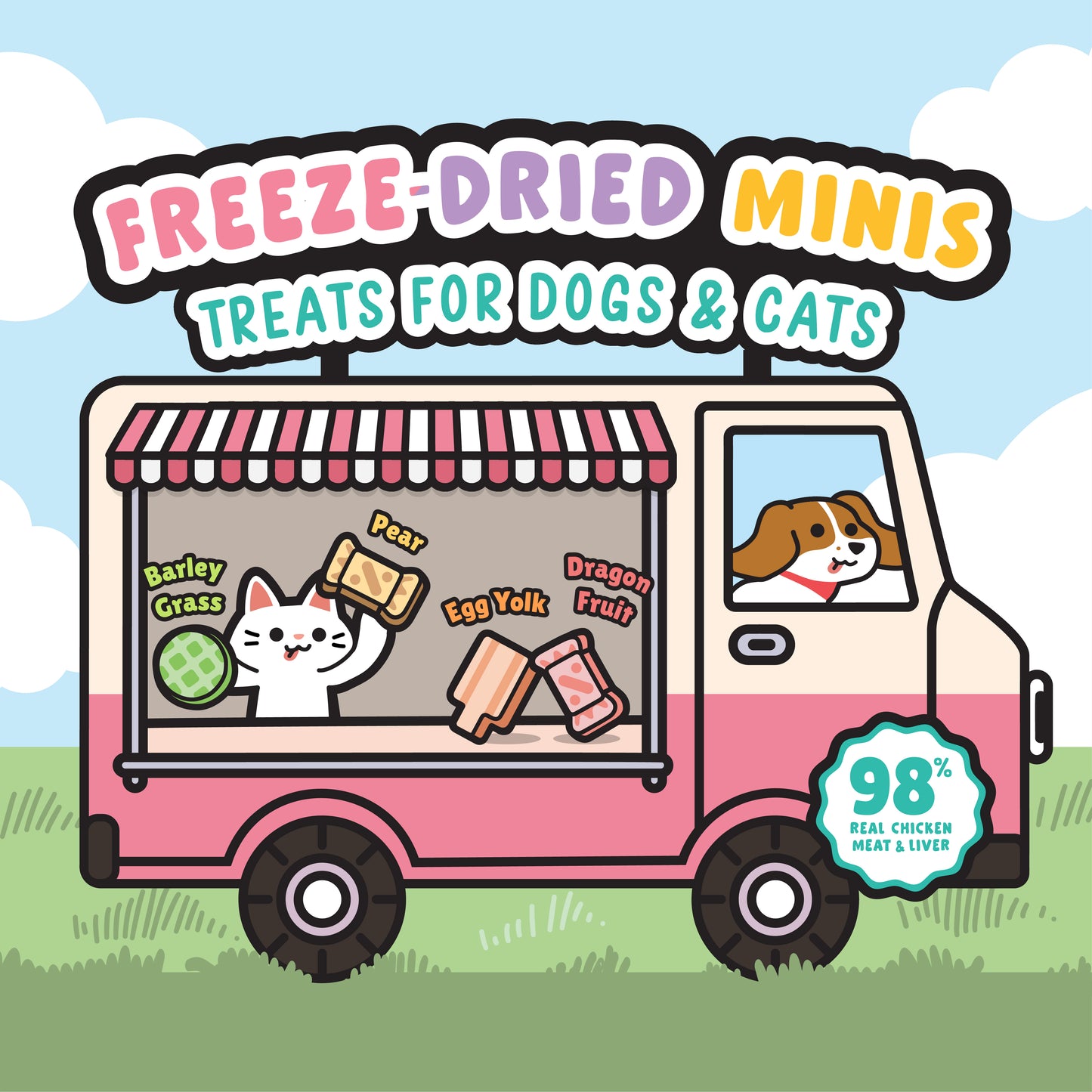 SingAPaw Freeze-Dried Minis Chicken