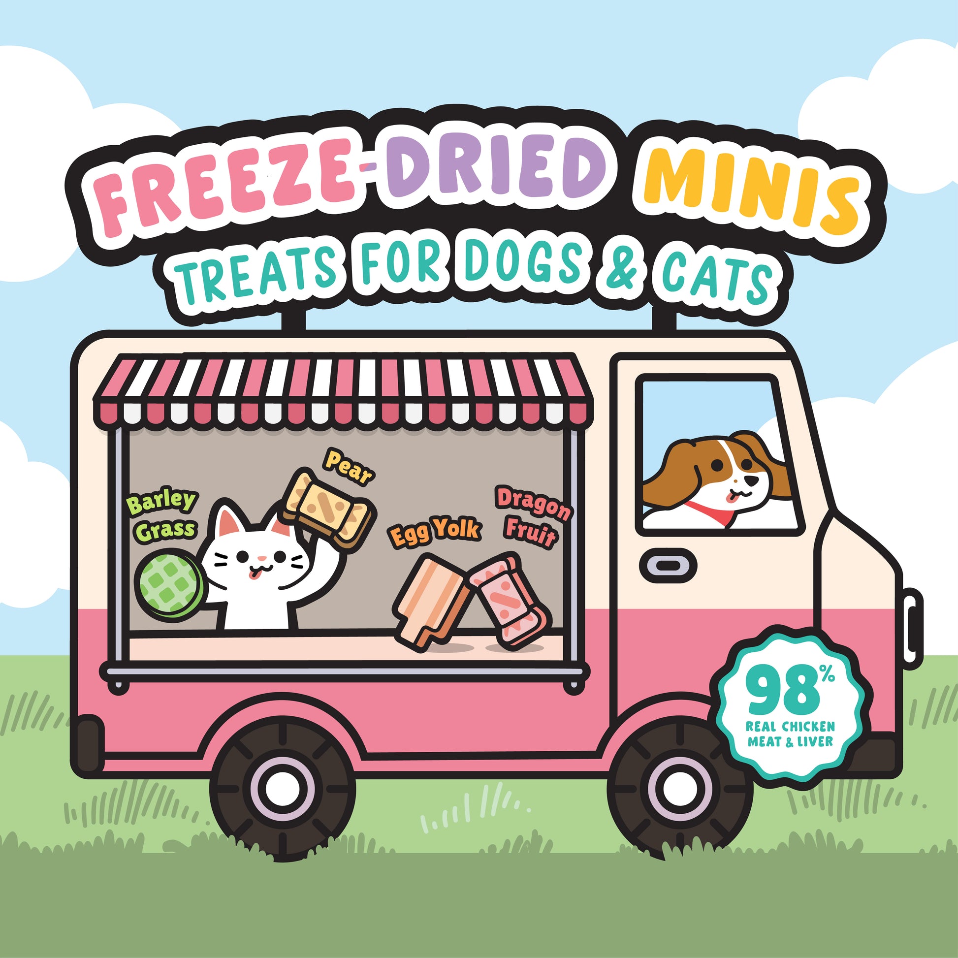 SingAPaw Freeze-Dried Minis Chicken