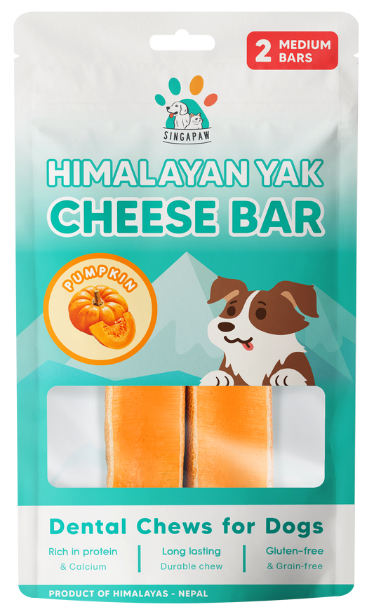 SingAPaw Himalayan Yak Cheese Bar (Pumpkin)