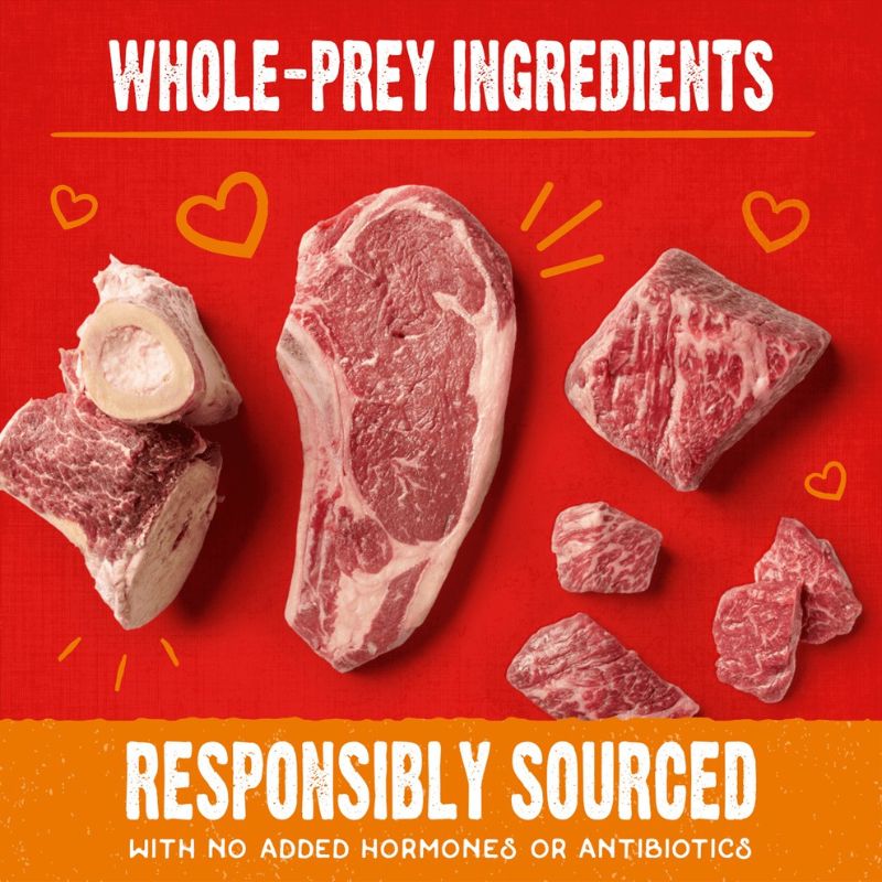 Stella & Chewy's Freeze-Dried Raw Coated Biscuits Beef Grain-Free Dog Treats - 9 oz