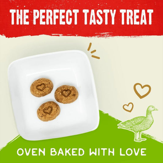 Stella & Chewy's Freeze-Dried Raw Coated Biscuits Duck Grain-Free Dog Treats - 9 oz