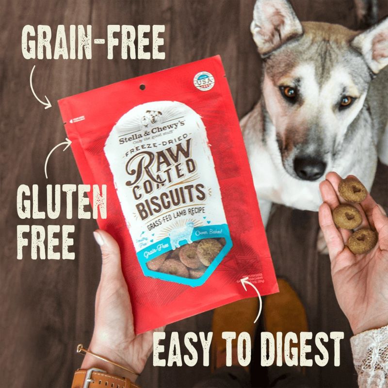 Stella & Chewy's Freeze-Dried Raw Coated Biscuits Lamb Grain-Free Dog Treats - 9 oz