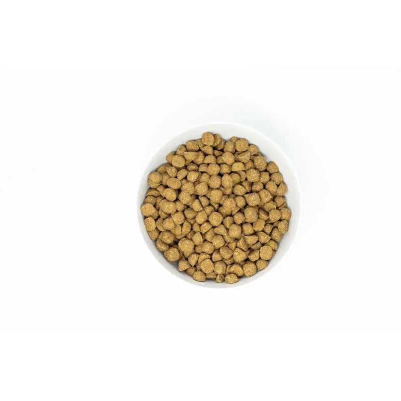 Stella & Chewy's Freeze-Dried Raw Coated Kibble Wholesome Grains Salmon With Pumpkin & Quinoa Dry Dog Food [2 Size]