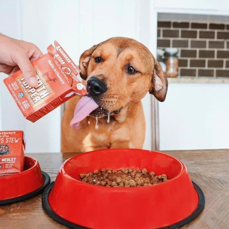Stella & Chewy's Grass-Fed Beef Broth Topper Grain-Free Wet Dog Food - 11 oz