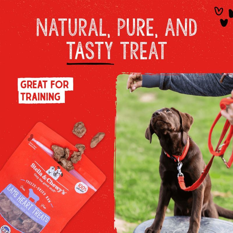 Stella & Chewy's Lamb Heart Single Ingredient Grain-Free Freeze-Dried Dog Treats - 3 oz