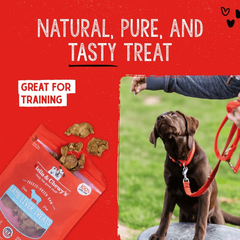 Stella & Chewy's Lamb Liver Single Ingredient Grain-Free Freeze-Dried Dog Treats - 3 oz