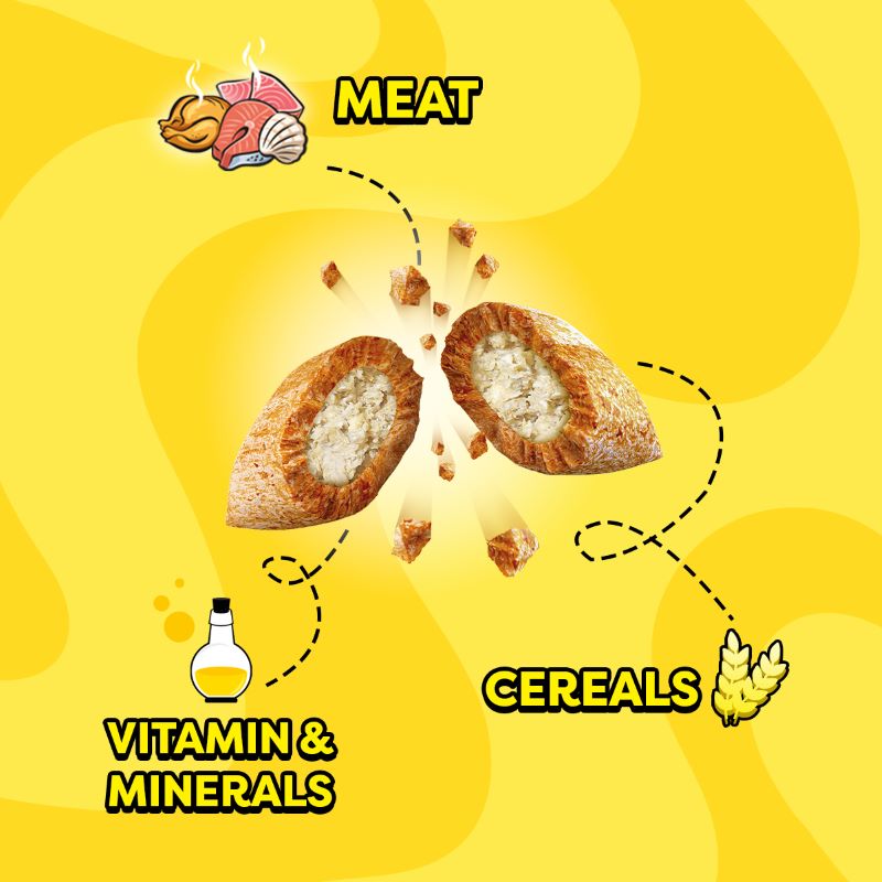 Temptations Cat Savoury Salmon Flavour 160g