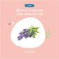 Kin+Kind Lavender Coat Spray for Dog & Cat Smells - 354ml
