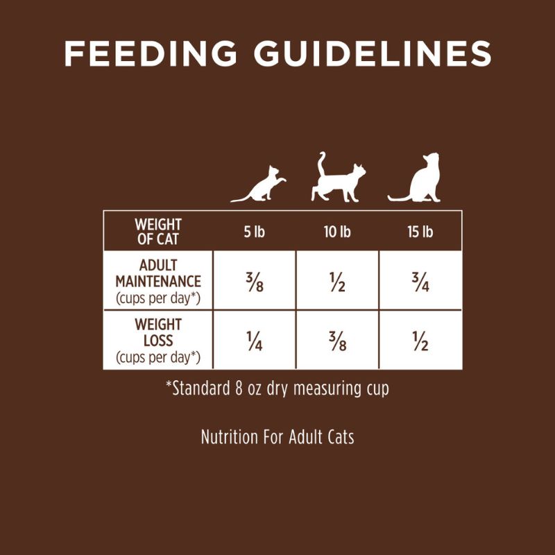 Instinct Ultimate Protein Kibble Recipe with Real Chicken Dry Cat - 10lb