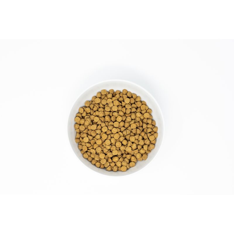 Stella & Chewy's Freeze-Dried Raw Coated Kibble Wholesome Grains Beef Small Breed Dry Dog Food [2 Size]
