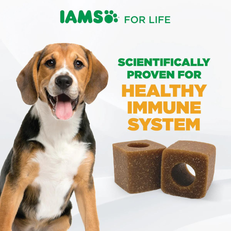 IAMS Dog Supplements for Immune System 168g