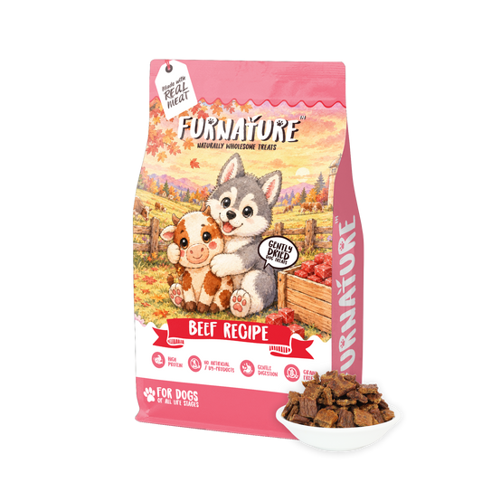 Fur Nature Natural Wholesome Gently Dried Dog Treats - Beef Recipe (200g)