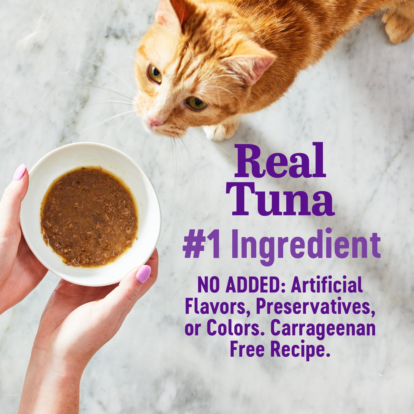Wellness Appetizing Entrees Flaked Tuna & Tilapia Recipe Wet Cat Food 1.4oz