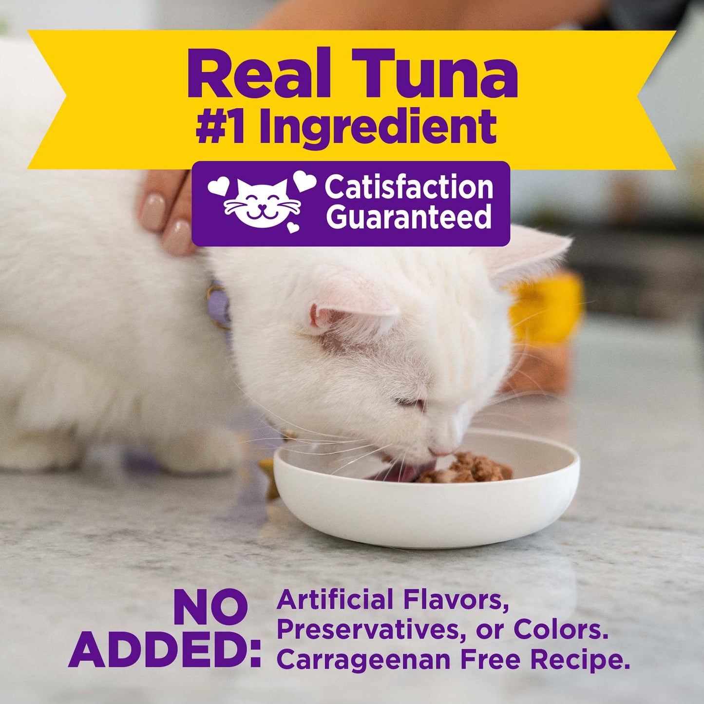 Wellness Appetizing Entrees Flaked Tuna & Tilapia Recipe Wet Cat Food 1.4oz