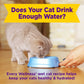Wellness Appetizing Entrees Flaked Tuna & Tilapia Recipe Wet Cat Food 1.4oz