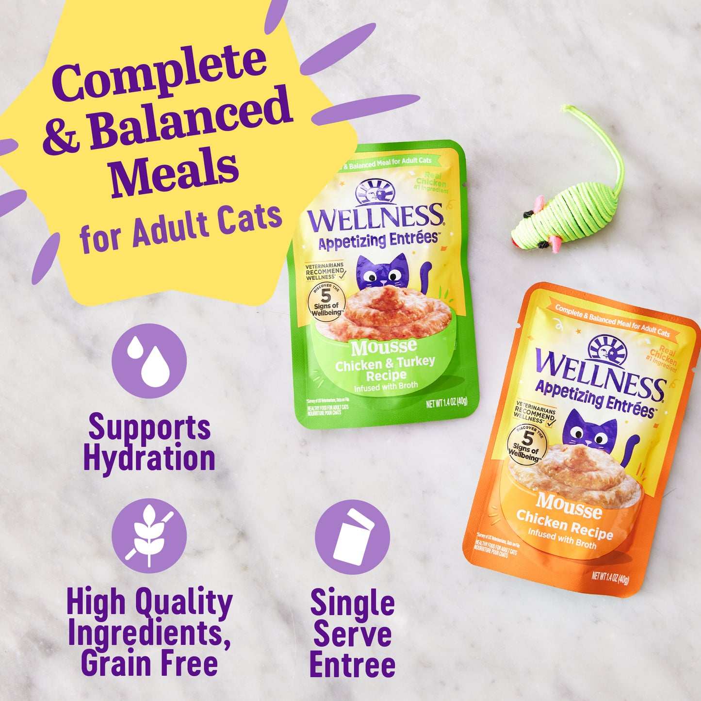 Wellness Appetizing Entrees Mousse Chicken Recipe Wet Cat Food 1.4oz