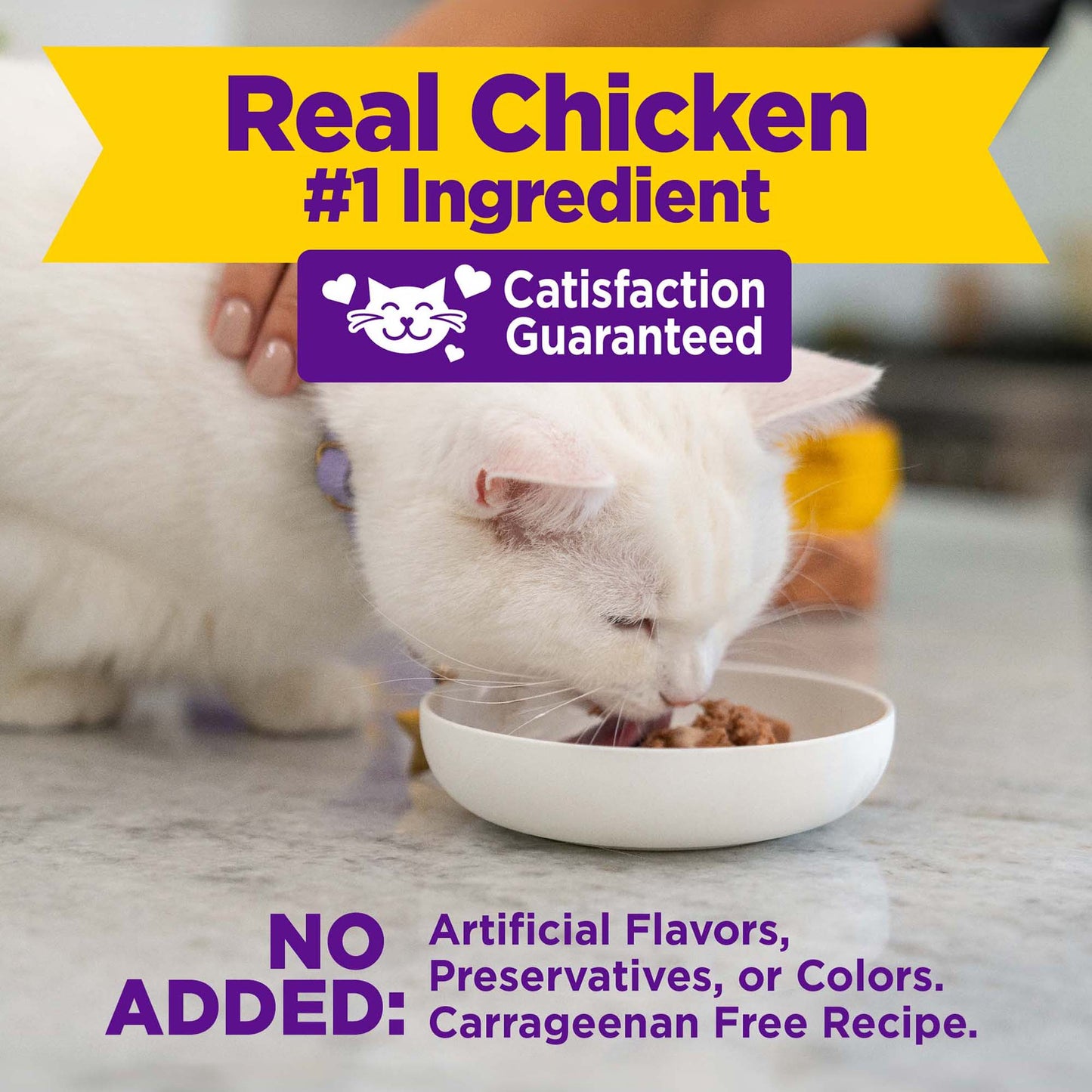 Wellness Appetizing Entrees Shredded Chicken Recipe Wet Cat Food 1.4oz