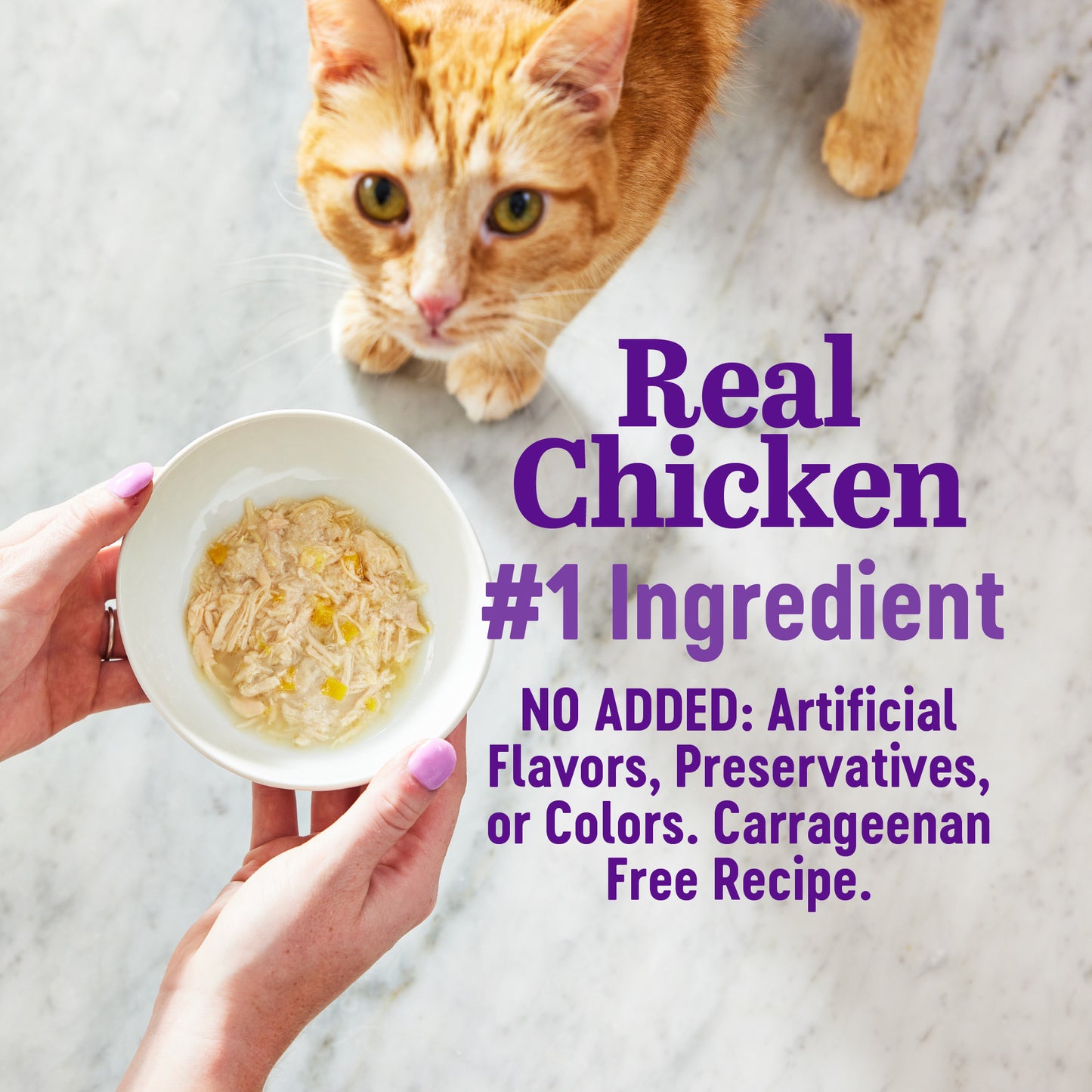 Wellness Appetizing Entrees Shredded Chicken & Salmon Recipe Wet Cat Food 1.4oz