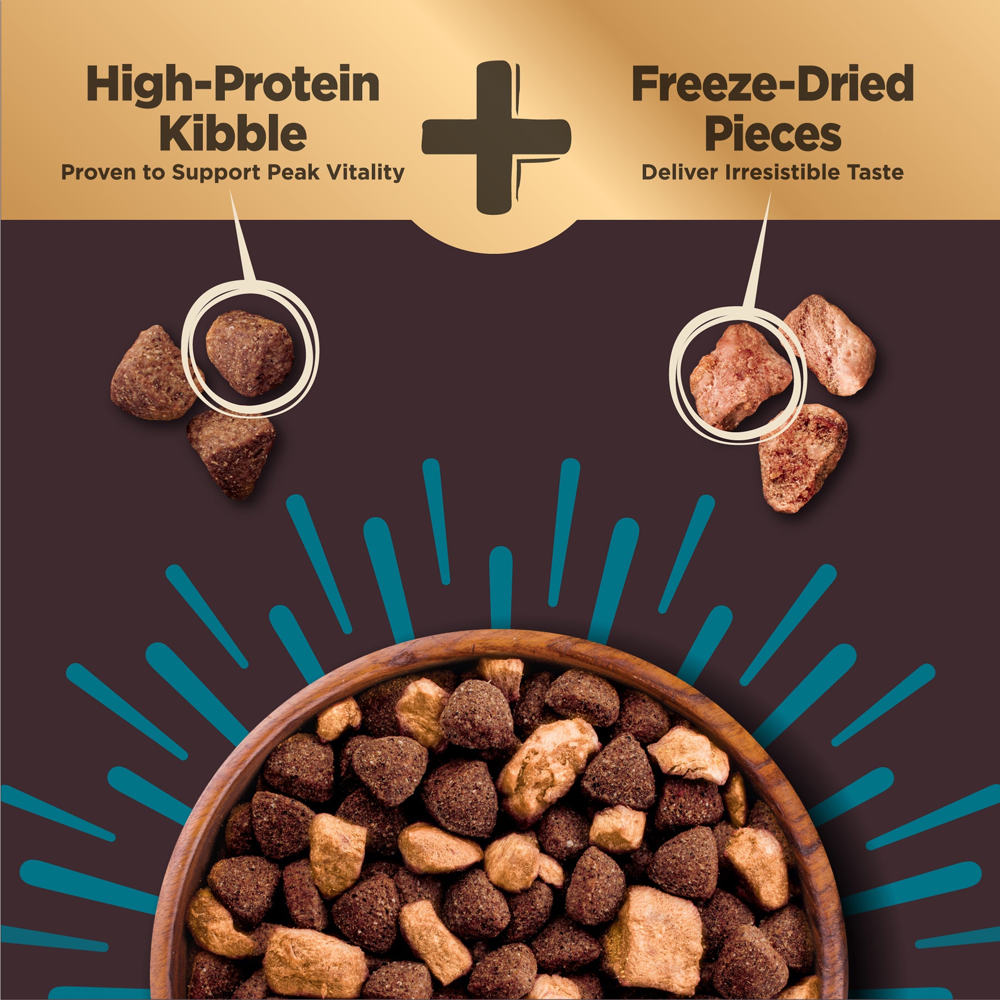 Wellness CORE+ (RawRev) Ocean Dry Dog Food