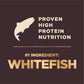 Wellness CORE+ (RawRev) Ocean Dry Dog Food