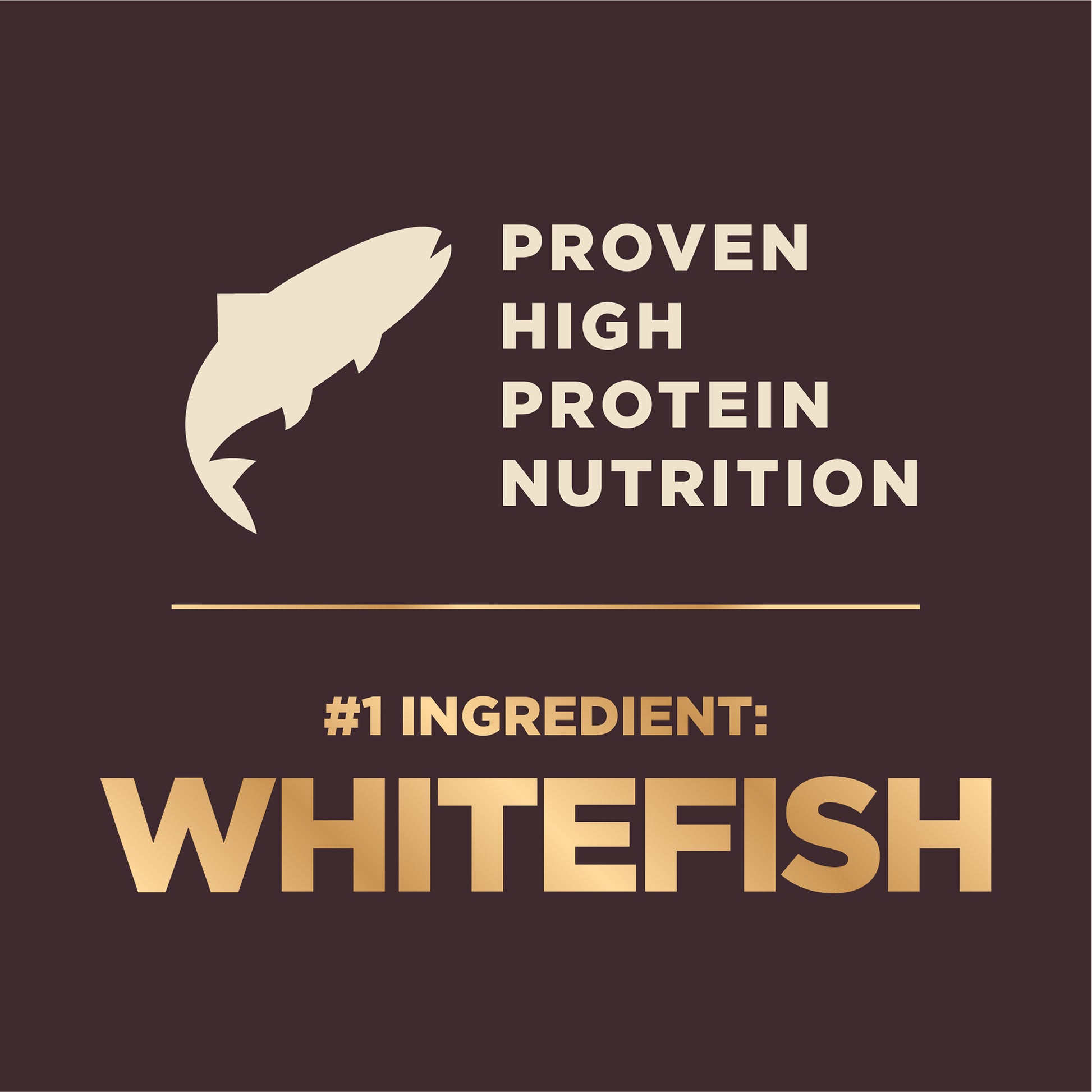 Wellness CORE+ (RawRev) Ocean Dry Dog Food