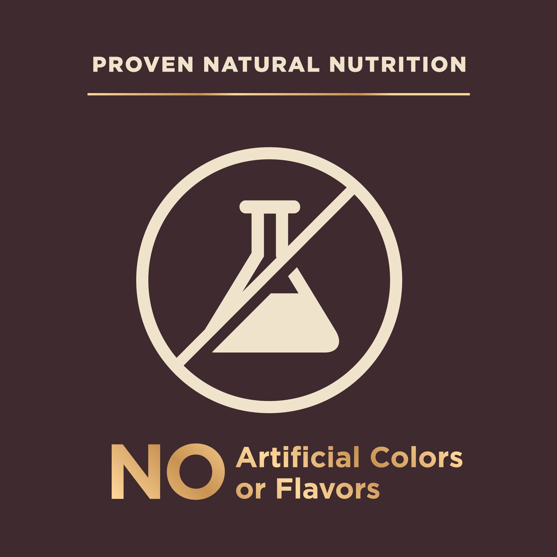 Wellness CORE+ (RawRev) Wild Game Dry Dog Food