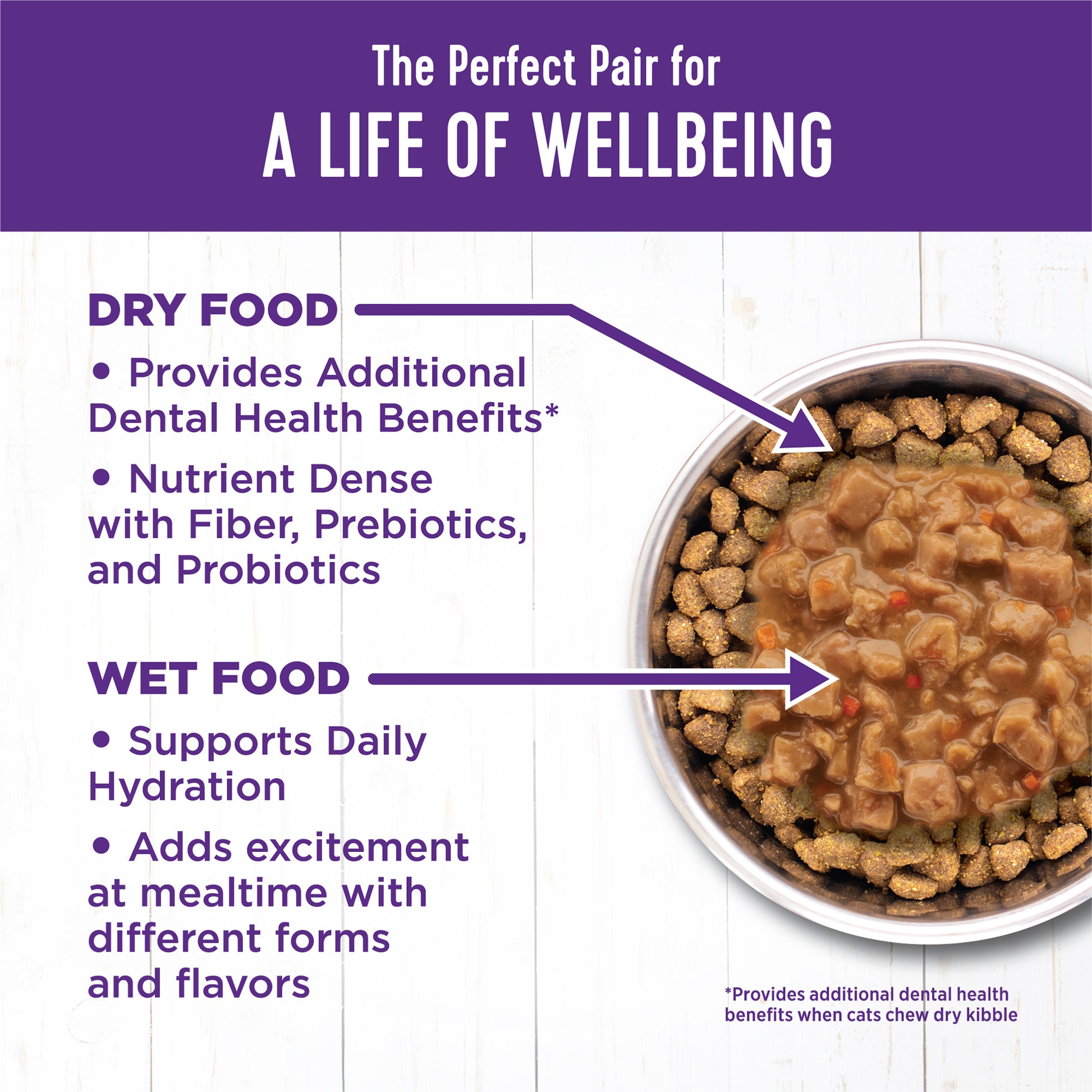 Wellness Complete Health Gravies Salmon Dinner Canned Wet Cat Food 3oz