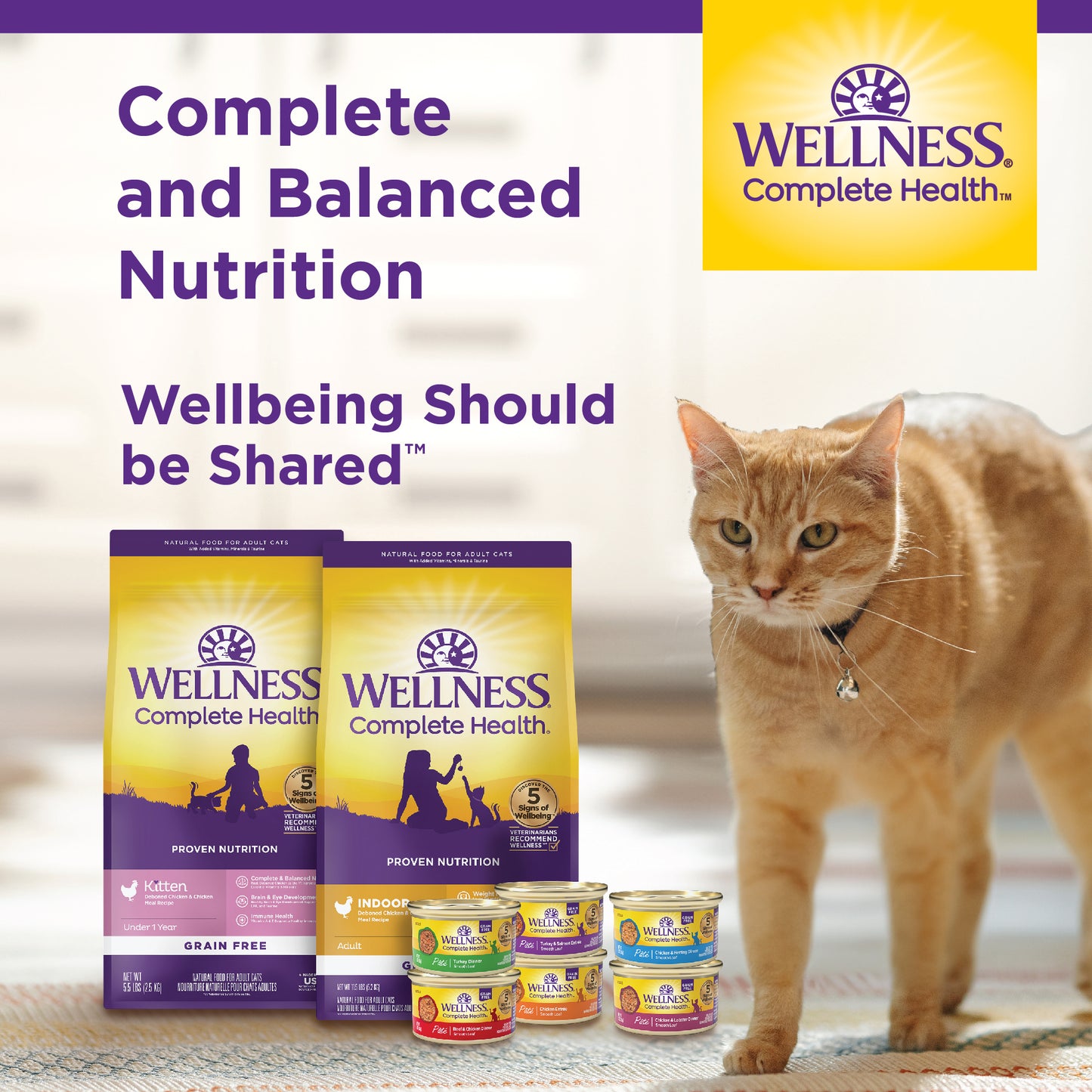 Wellness Complete Health Minced Chicken Dinner Canned Wet Cat Food 5.5oz