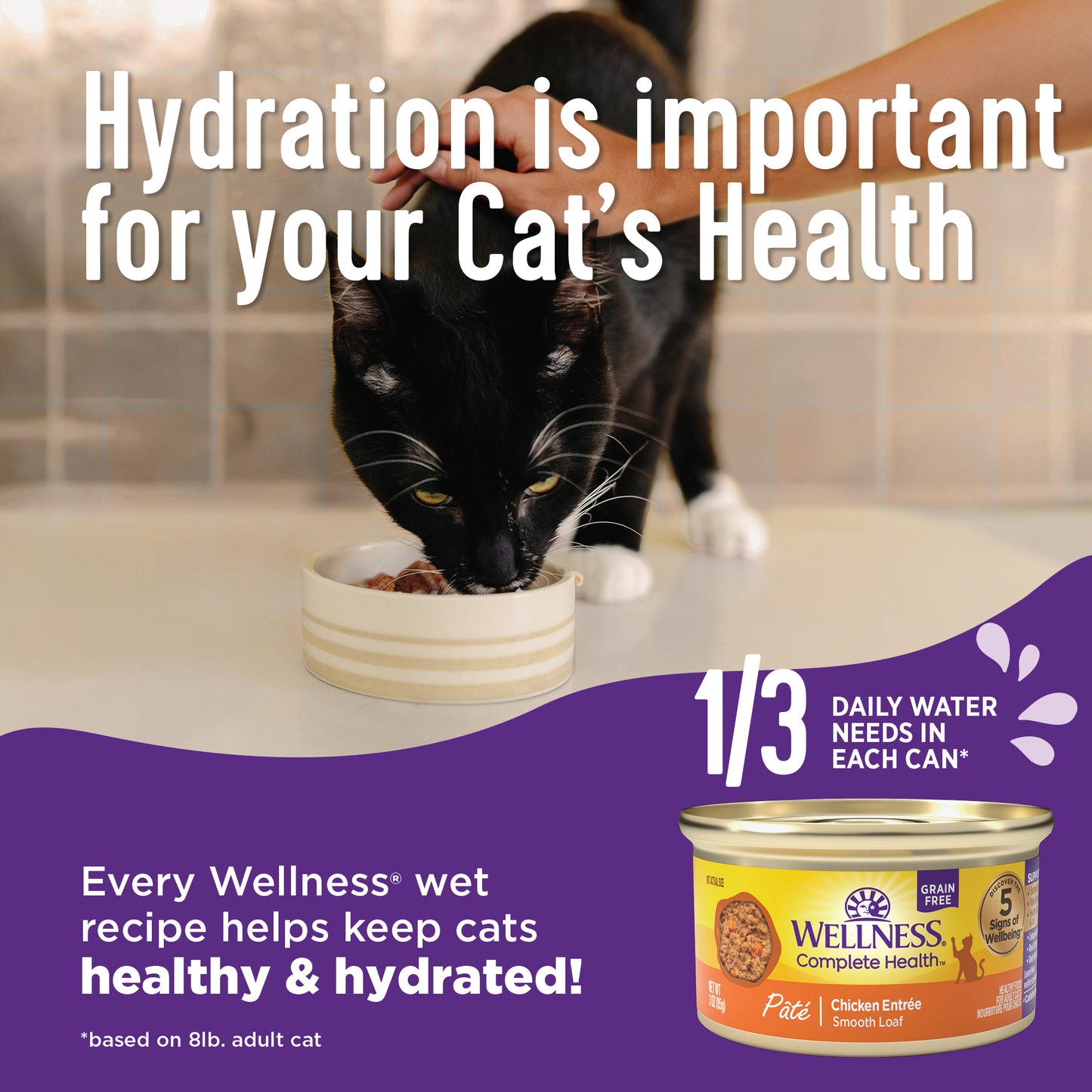 Wellness Complete Health Minced Chicken Dinner Canned Wet Cat Food 5.5oz