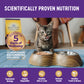Wellness Complete Health Minced Chicken Dinner Canned Wet Cat Food 5.5oz