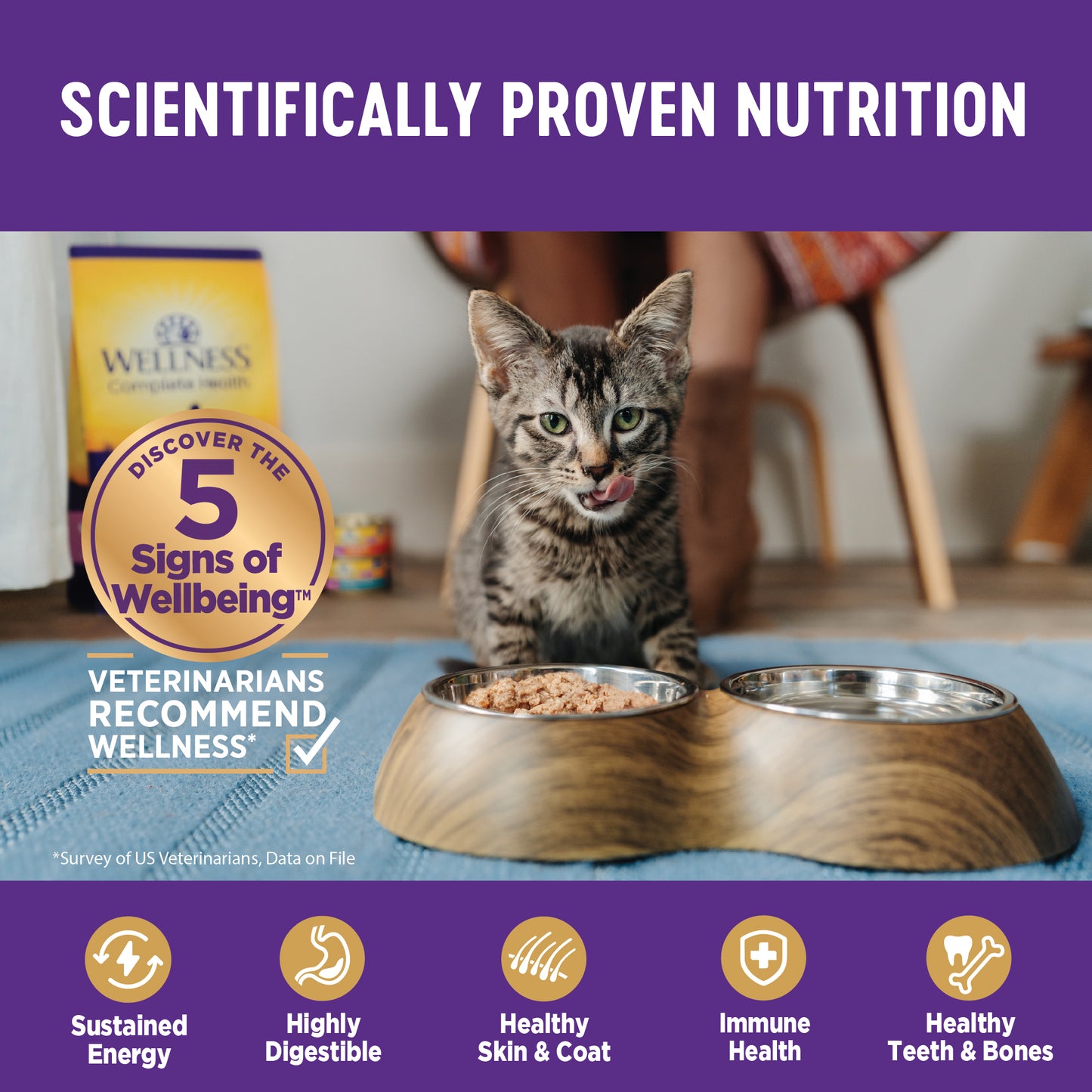 Wellness Complete Health Minced Chicken Dinner Canned Wet Cat Food 5.5oz