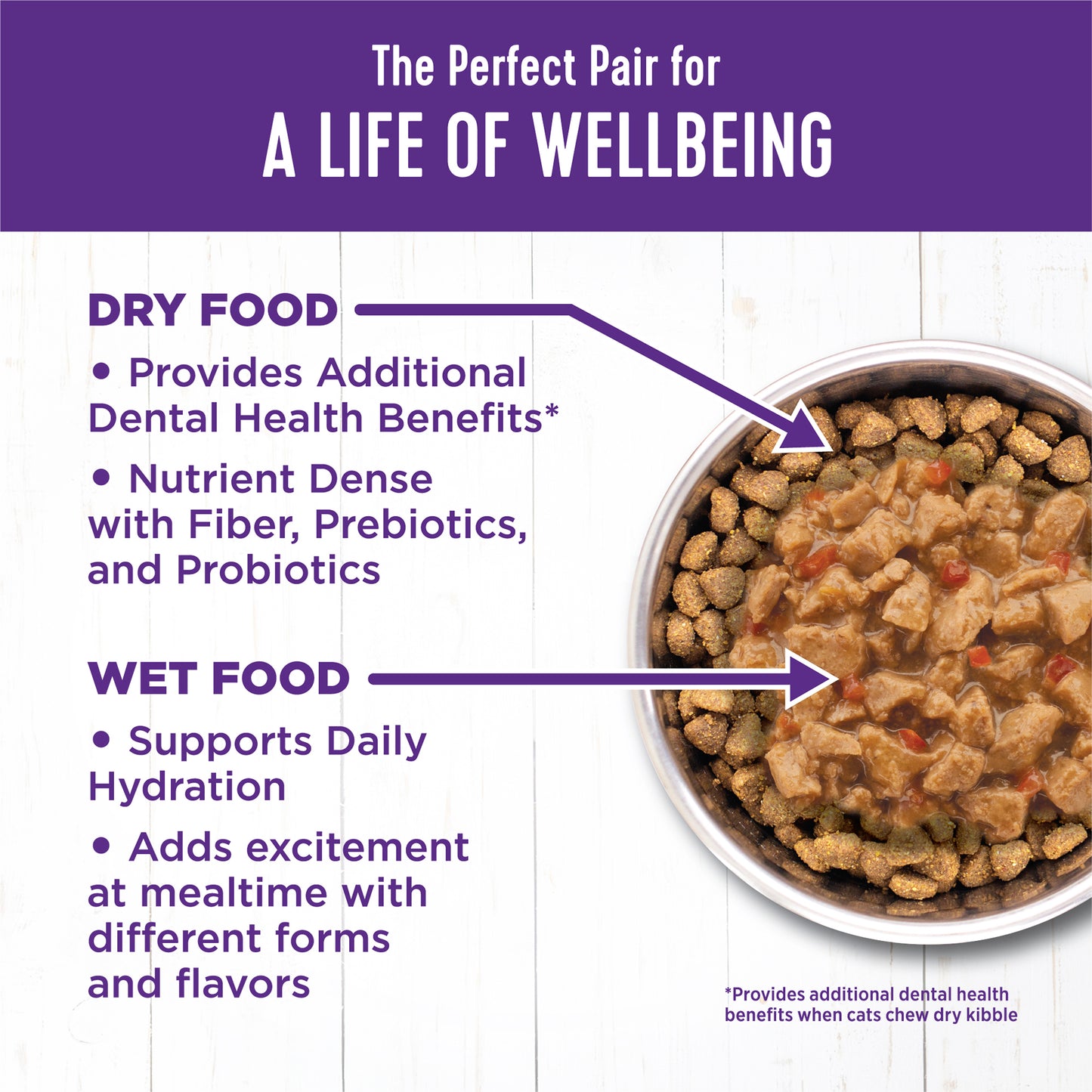 Wellness Complete Health Minced Chicken Dinner Canned Wet Cat Food 5.5oz