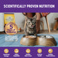 Wellness Complete Health Pate Chicken & Lobster Wet Cat Food 5.5oz