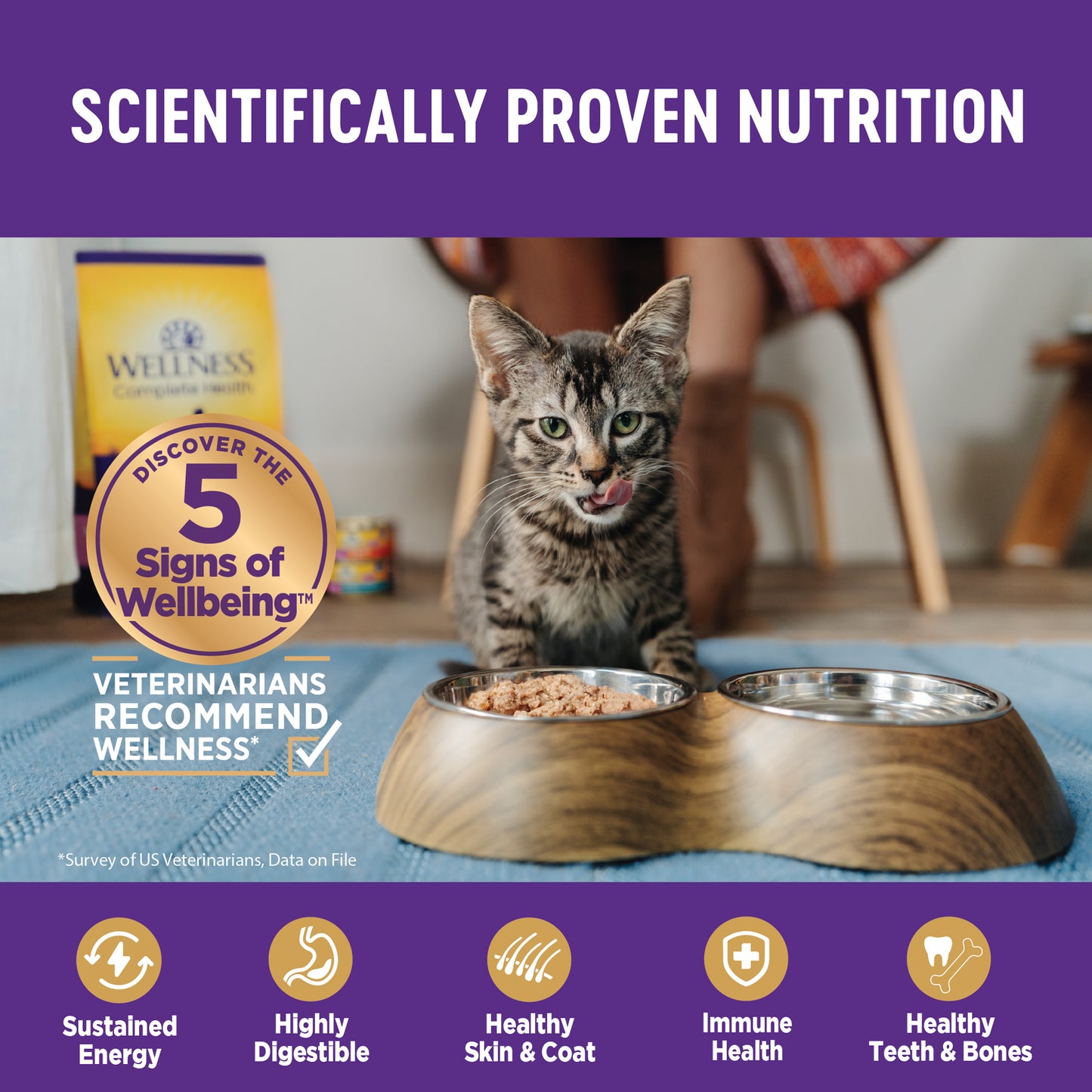 Wellness Complete Health Pate Chicken & Lobster Wet Cat Food 5.5oz