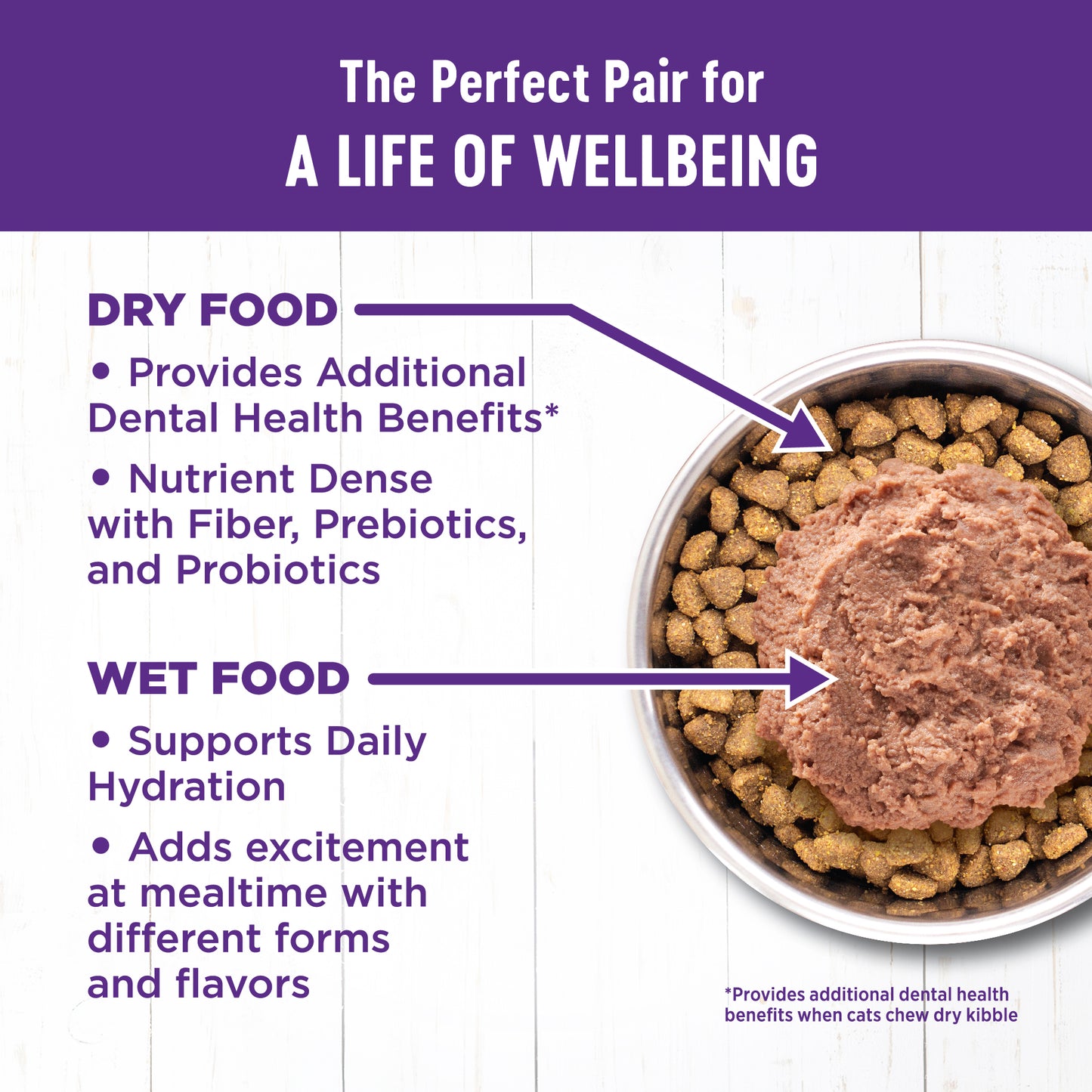 Wellness Complete Health Pate Chicken & Lobster Wet Cat Food 5.5oz